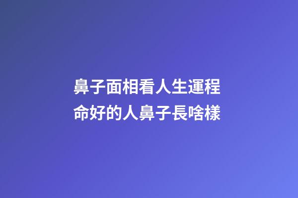 鼻子面相看人生運程 命好的人鼻子長啥樣